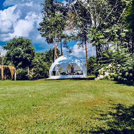 B Our Guest At Your Cozy Hideaway Dome Near Dresden Frauendorf  外观 照片